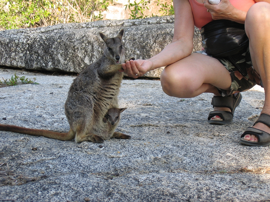 CairnsTC127 Granite Gorge.jpg